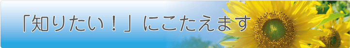 知りたいにこたえます