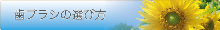 歯ブラシの選び方