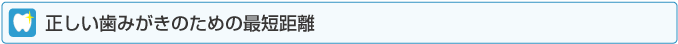 正しい歯みがきのための最短距離